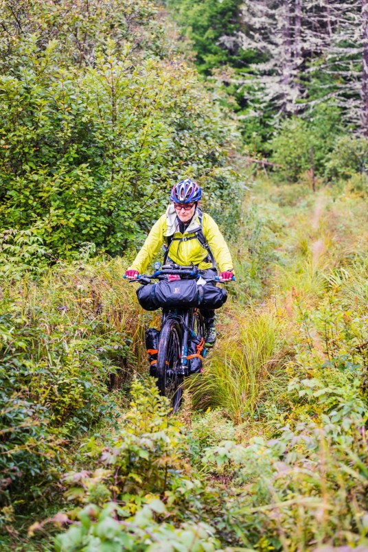 42247773_10212689804700075_490988639665258496_o